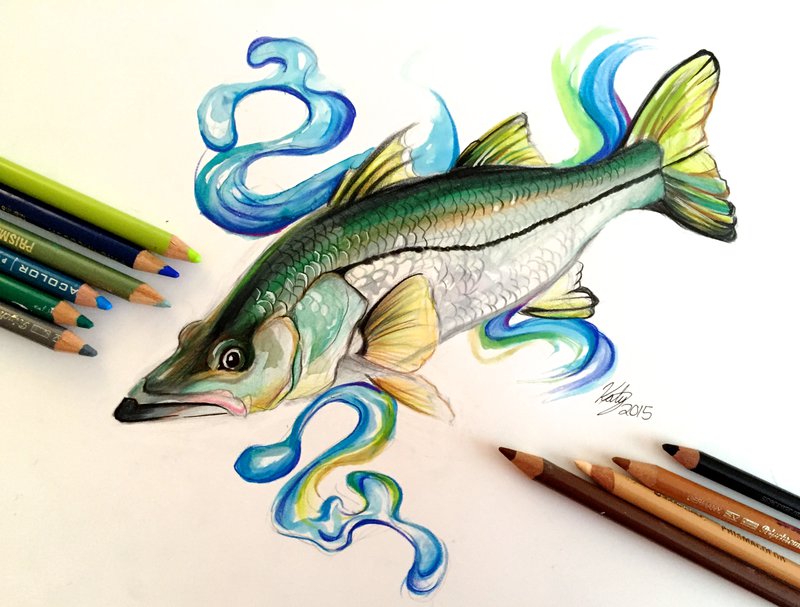 Colored Pencil drawing Art 15