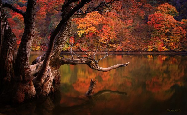 Beautiful Lake Photography by jaewoon u 01