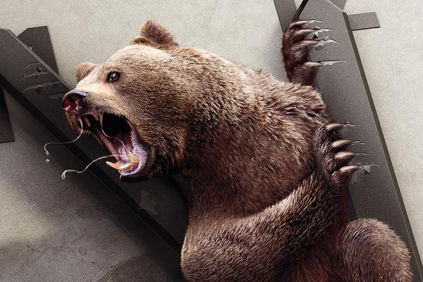 Creative 3D Graphic Design campaign of bear-by Peppermill