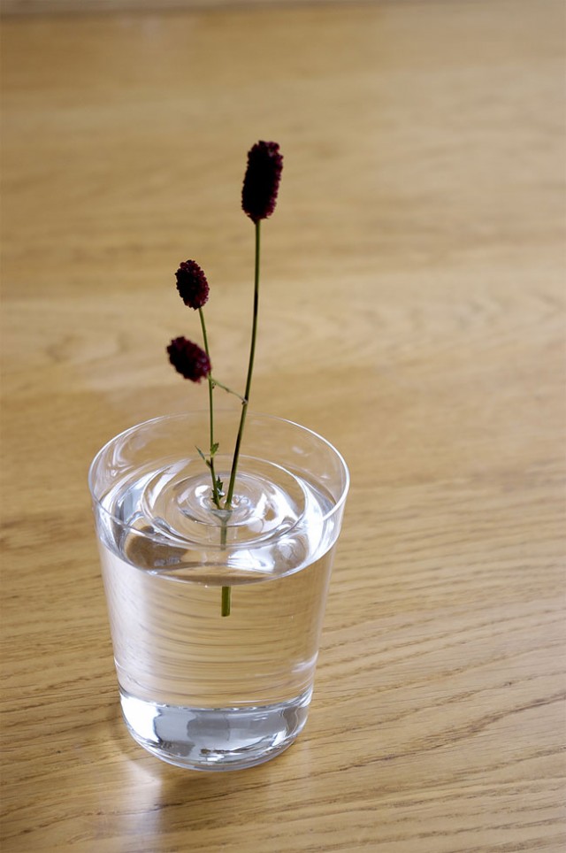 Creative Delicate Floating Vases concept 03