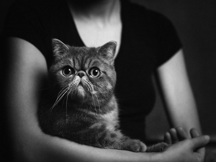 Cute Animal Human Portraits Photography-Vincent Legrange 01