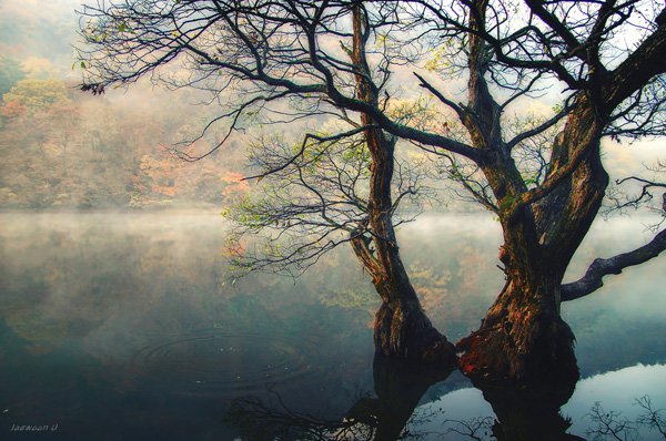 Jusan-Lake Landscape Photography by jaewoon u