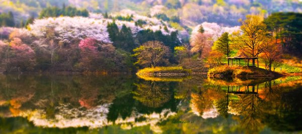 Mind-Blowing Colorful Landscape Photos by jaewoon u 01