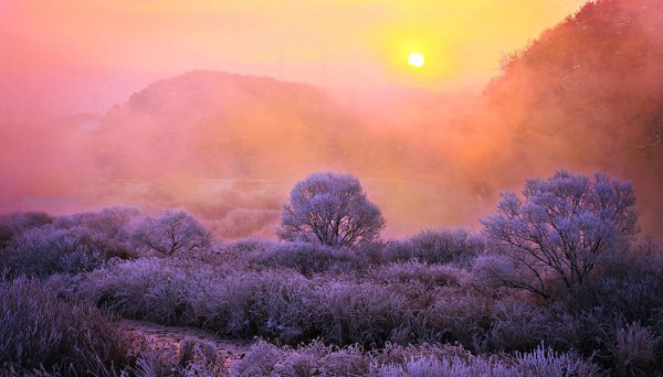 Mind-Blowing Colorful Nature Photography by jaewoon u 01