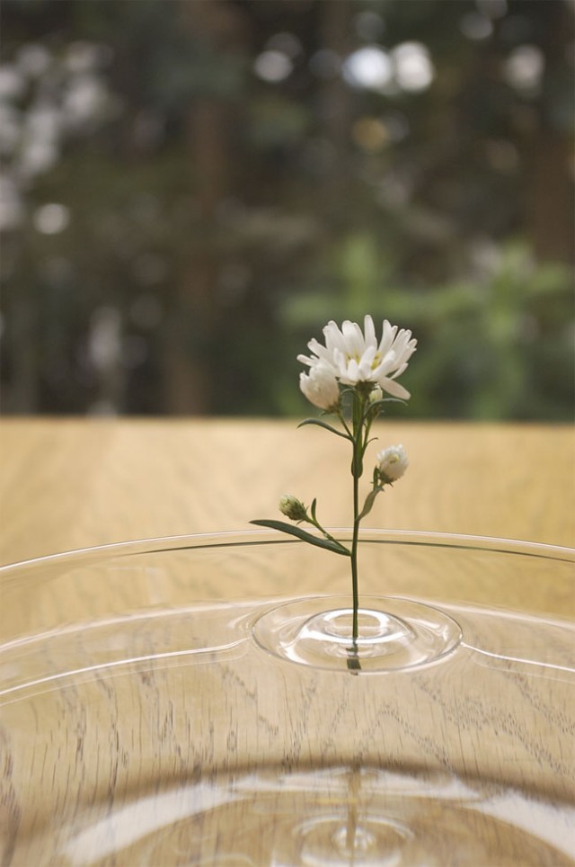 Unique Floating Vases concept 04