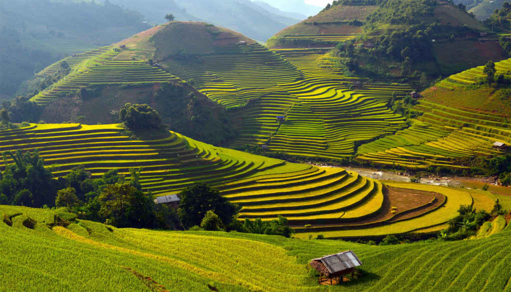 Beautiful Vietnam Rice Terrace Photos by Sarawut Intarob | 99inspiration