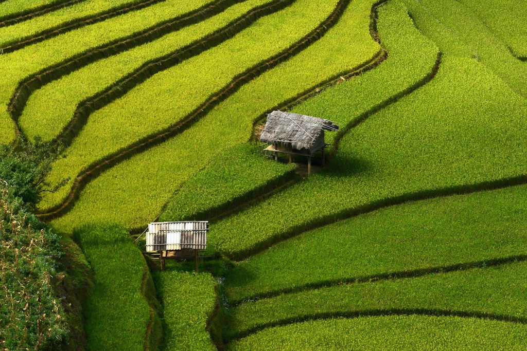 Amazingl Rice Terrace Photos by Sarawut Intarob