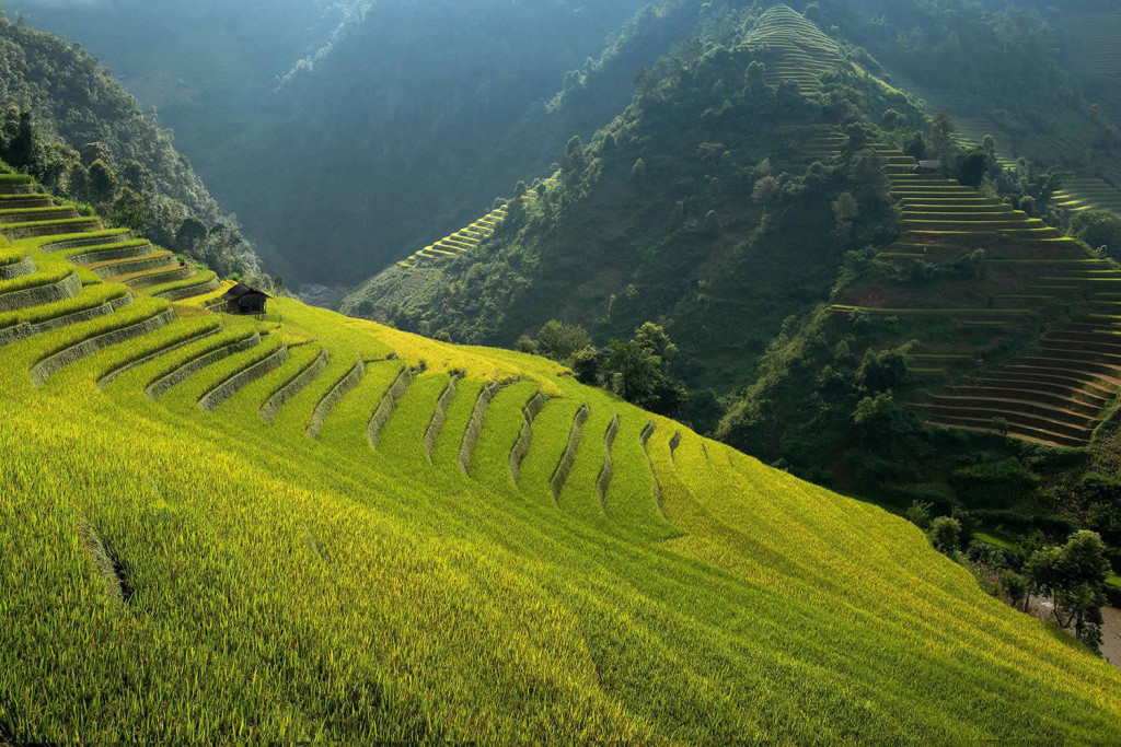 Beautiful Rice Terrace Photos by Sarawut Intarob