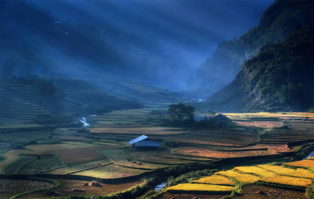 Beautiful Vietnam Rice Terrace Photos by Sarawut Intarob