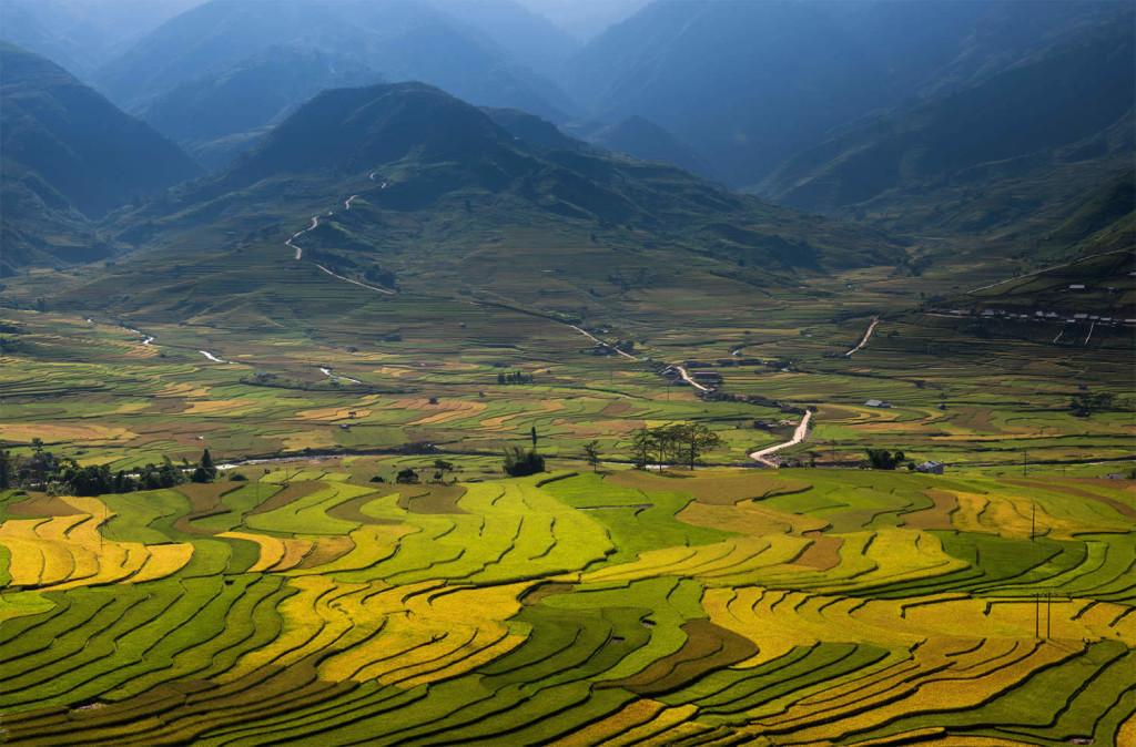 Wonderful Vietnam Rice Terrace Photos by Sarawut Intarob