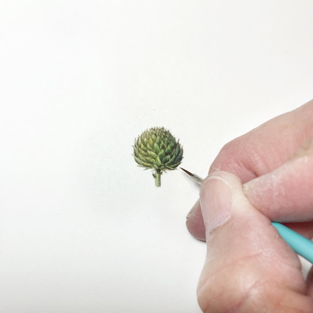 Incredible tiny paintings flower by karen libecap