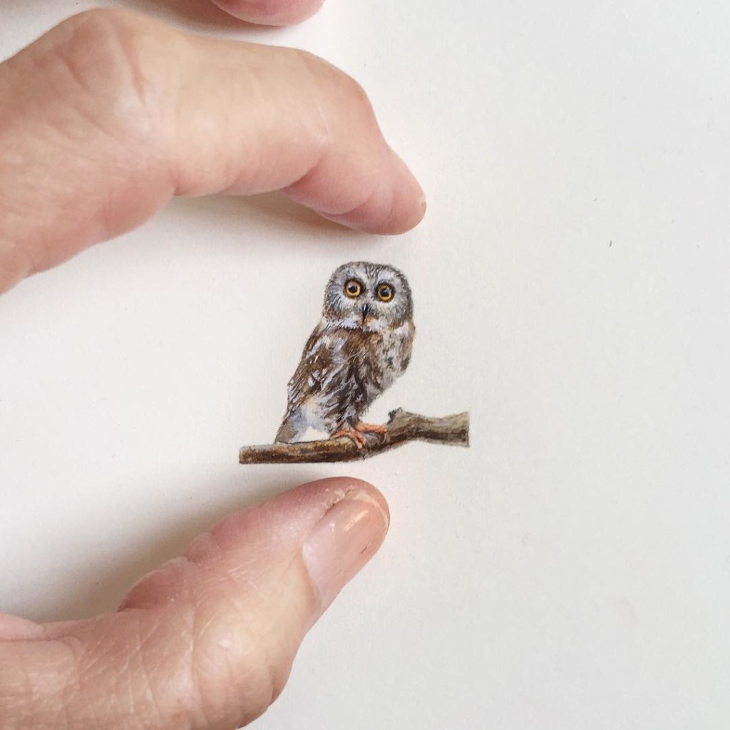 Incredible tiny paintings owl by karen libecap