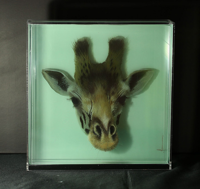solhui three-dimensional cartoon animal inside glass