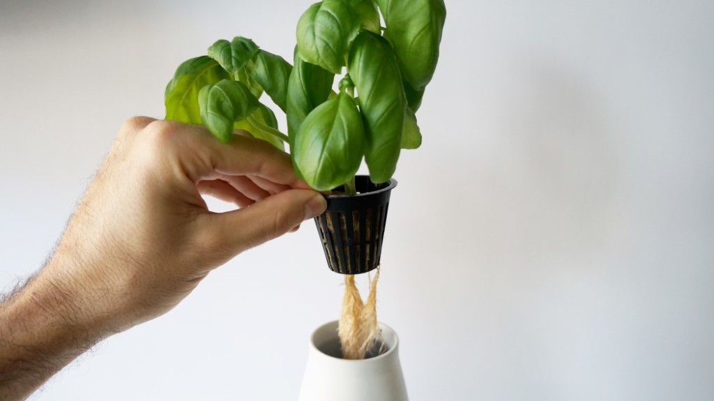 Self Watering Plant Concept