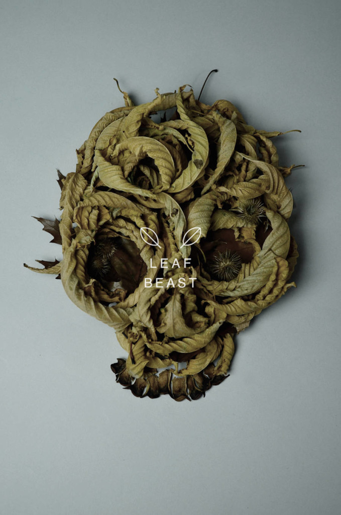 Unique and Creative Art of Skulls Leaf Beast Series by Baku Maeda