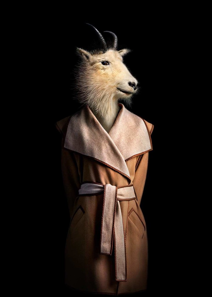 Animals Dressed in Contemporary Outfits by Miguel Vallinas 04