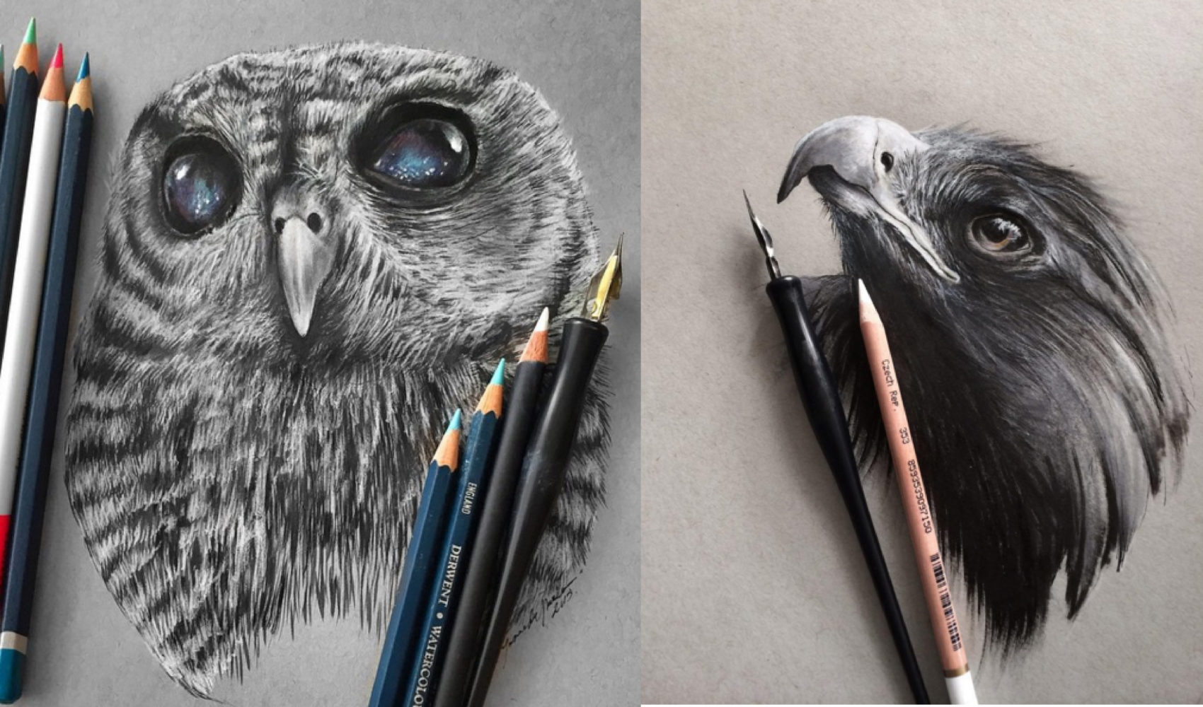 Stunning Animals Realistic Pencil Drawing by Jonathan Martinez