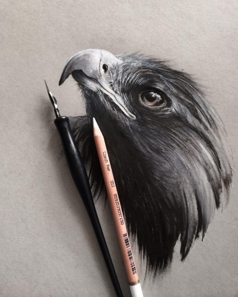 Stunning Animals Realistic Pencil Drawing by Jonathan