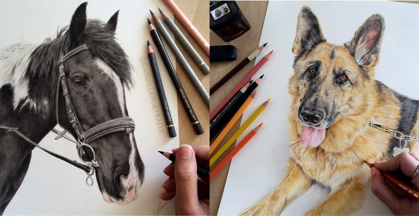 Incredible Animal Pencil Drawings by British Artist Danielle Fisher