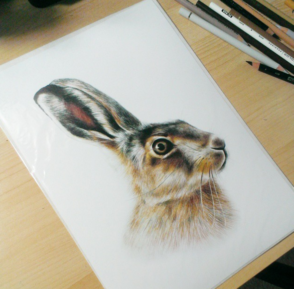 Incredible Animal Pencil Drawings by British Artist Danielle Fisher 77