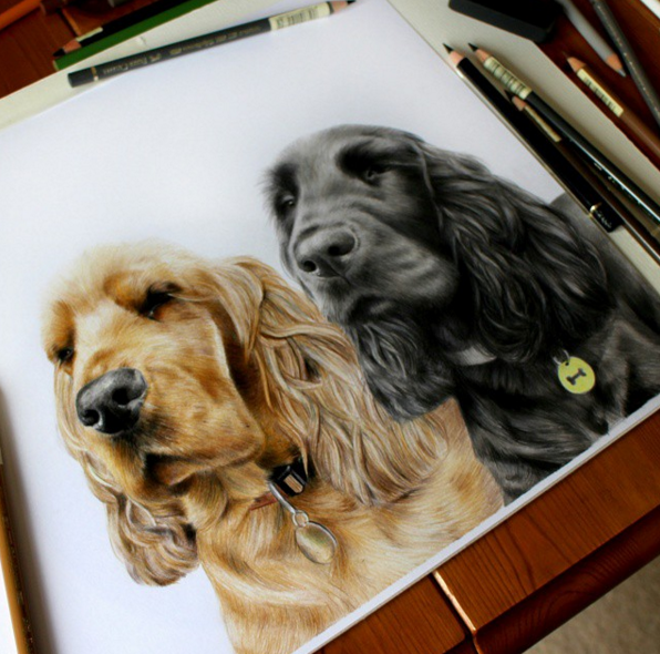 Incredible Animal Pencil Drawings by British Artist Danielle Fisher 88