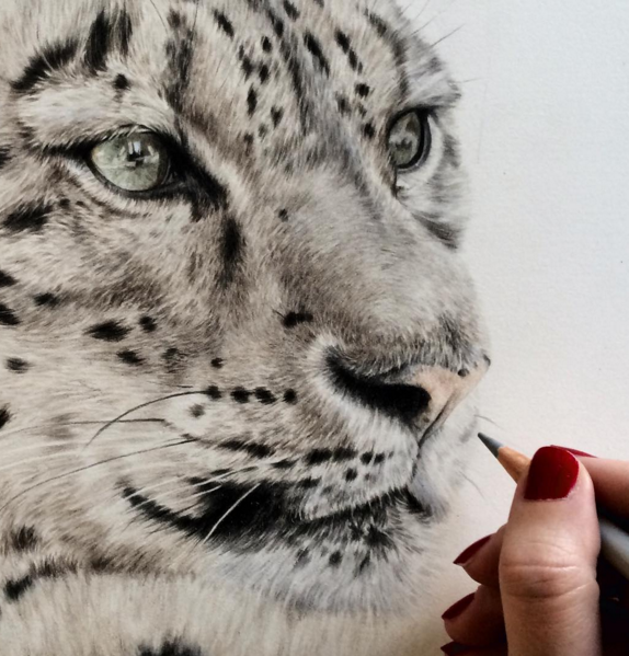 Incredible Animal Pencil Drawings by British Artist Danielle Fisher