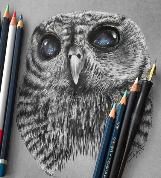Stunning Animals Realistic Pencil Drawing by Jonathan Martinez ...