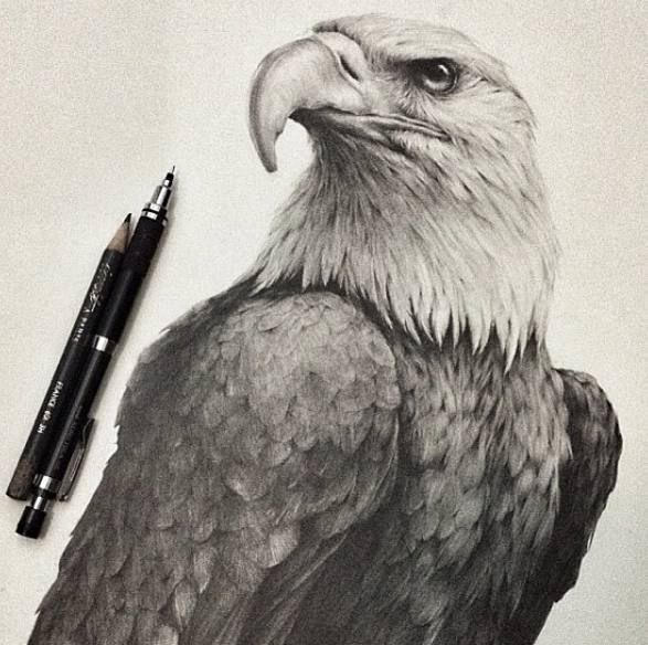 Stunning Animals Realistic Pencil Drawing by Jonathan Martinez