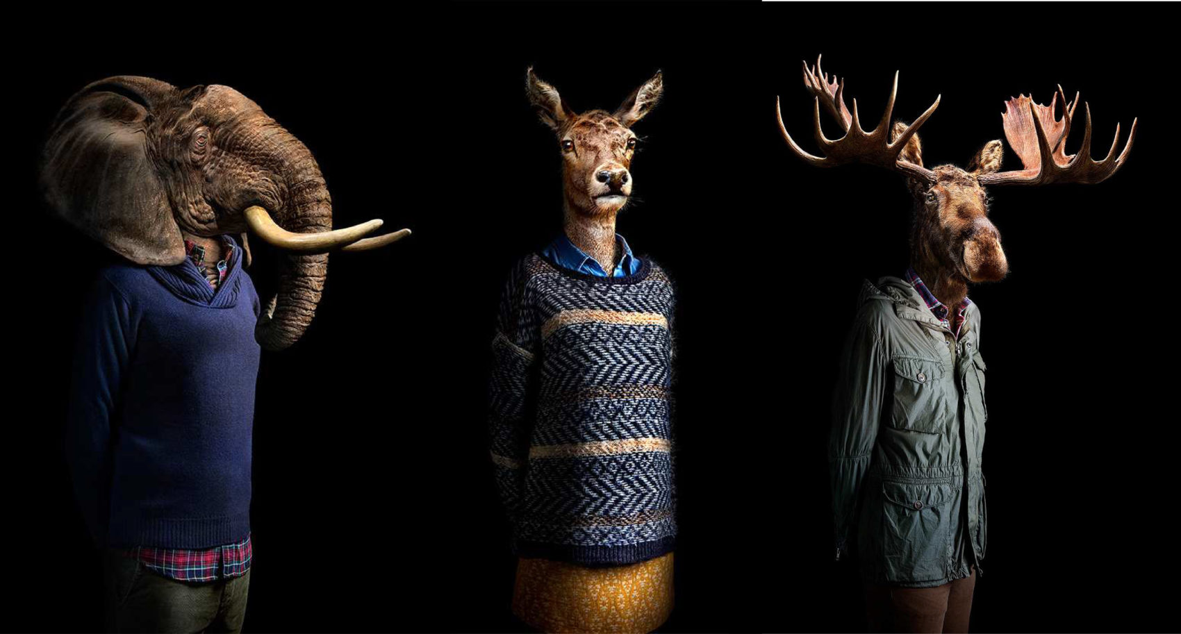 Animals Dressed in Contemporary Outfits by Miguel Vallinas