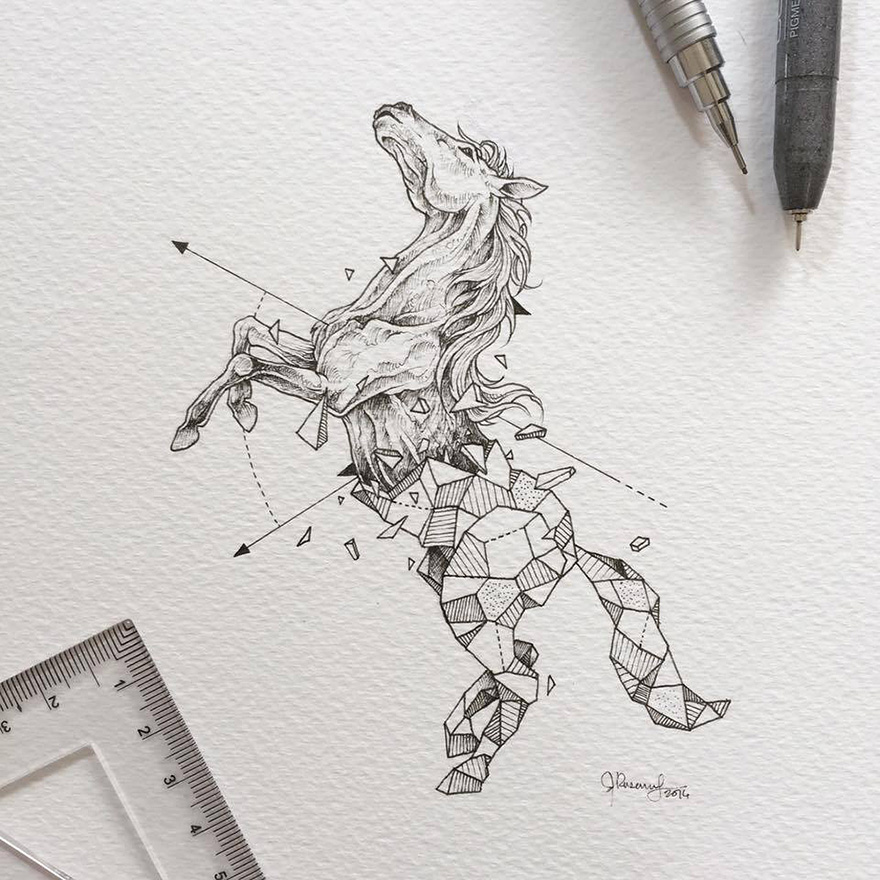 Wild Animals Drawings Fused With Geometric Shapes by Kerby Rosanes 77