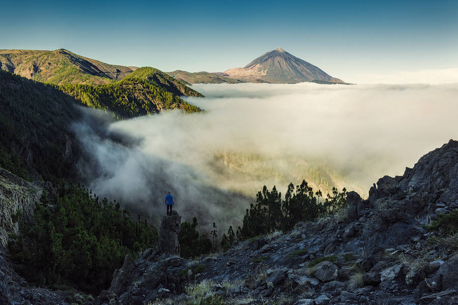 Wonderful Nature Photography of Canary Islands