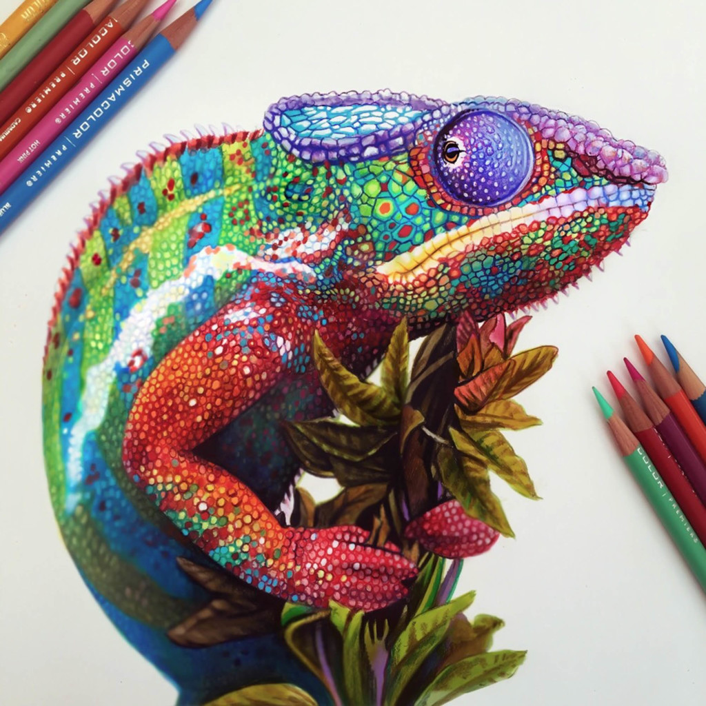 Extraordinary Colorful 3D Drawing by Morgan Davidson 99