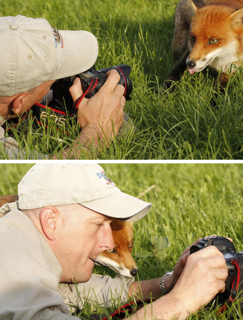 Adorable Photos Of Animals That Want To Be Photographers