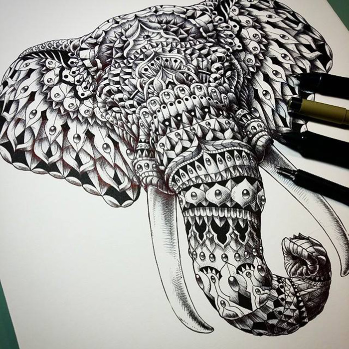 Black and white Animal Illustrations by Ben Kwok 99