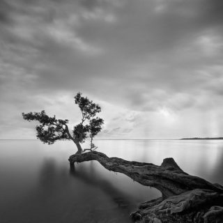 Beautiful Black and White Landscape Photography | 99inspiration