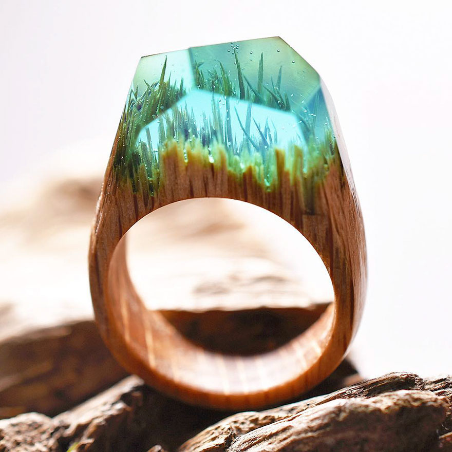 New Miniature Worlds Inside Wooden Rings 4