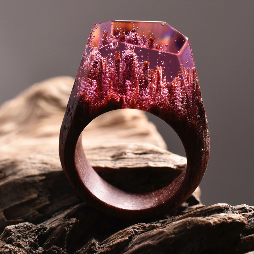 New Miniature Worlds Inside Wooden Rings 77