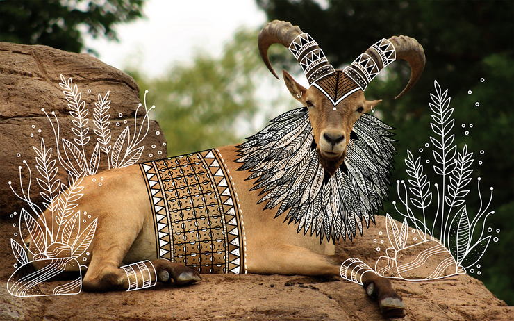 beautiful-elegant-tribal-design-over-animal-photographs-7