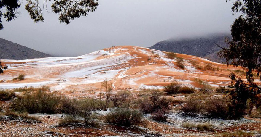 snow-falls-in-the-sahara-for-first-time-in-over-37-years-3