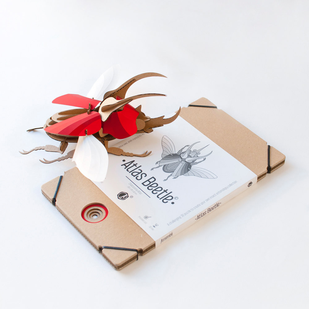 creative-diy-paper-beetle-sculpture-kits-by-assembli-3