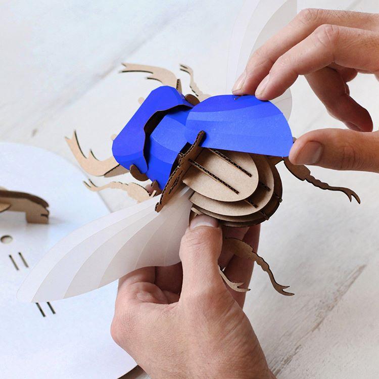 creative-diy-paper-beetle-sculpture-kits-by-assembli-35