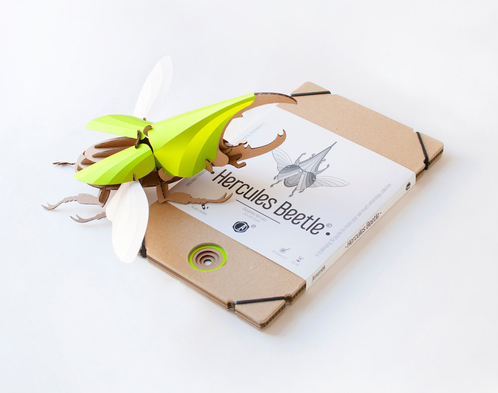 creative-diy-paper-beetle-sculpture-kits-by-assembli-4