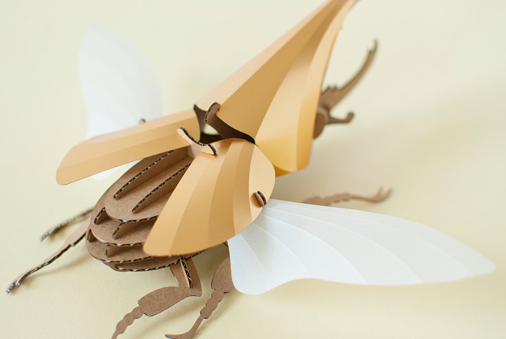 diy-paper-beetle-sculpture-kits-by-assembli-1