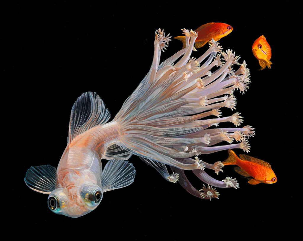 hyperrealistic-depictions-of-fish-merged-by-lisa-ericson-3