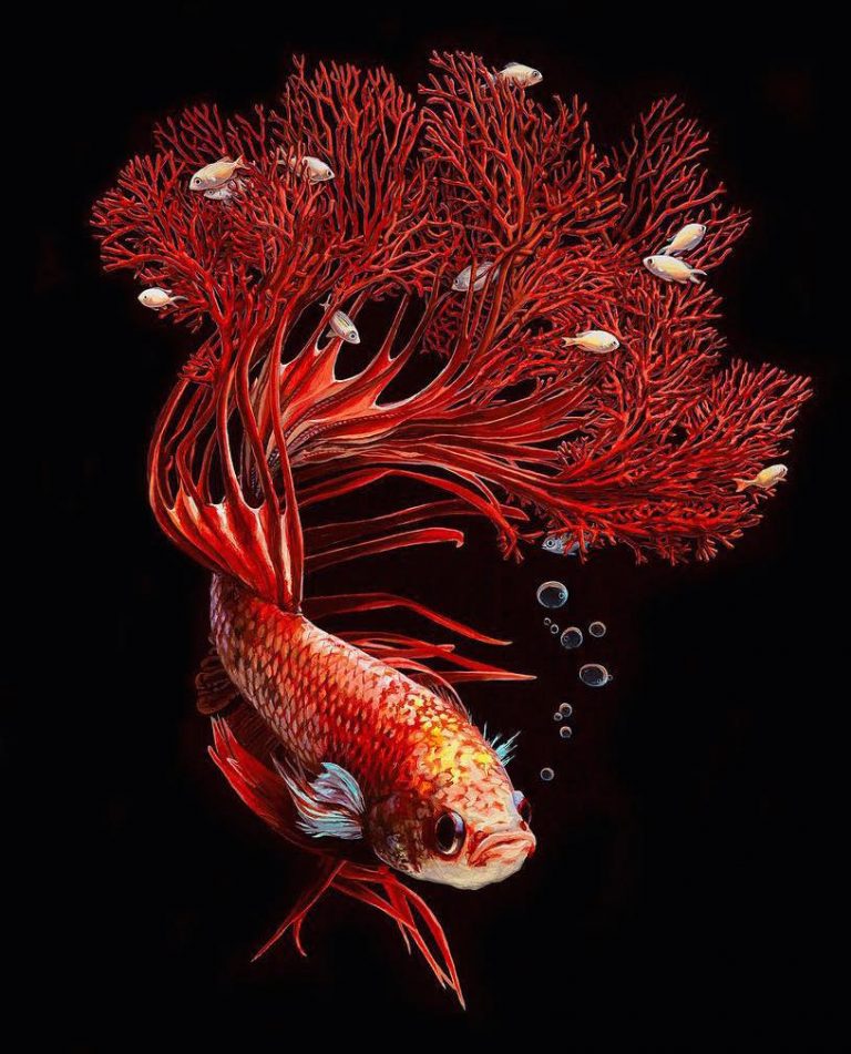 hyperrealistic-depictions-of-fish-merged-by-lisa-ericson-54