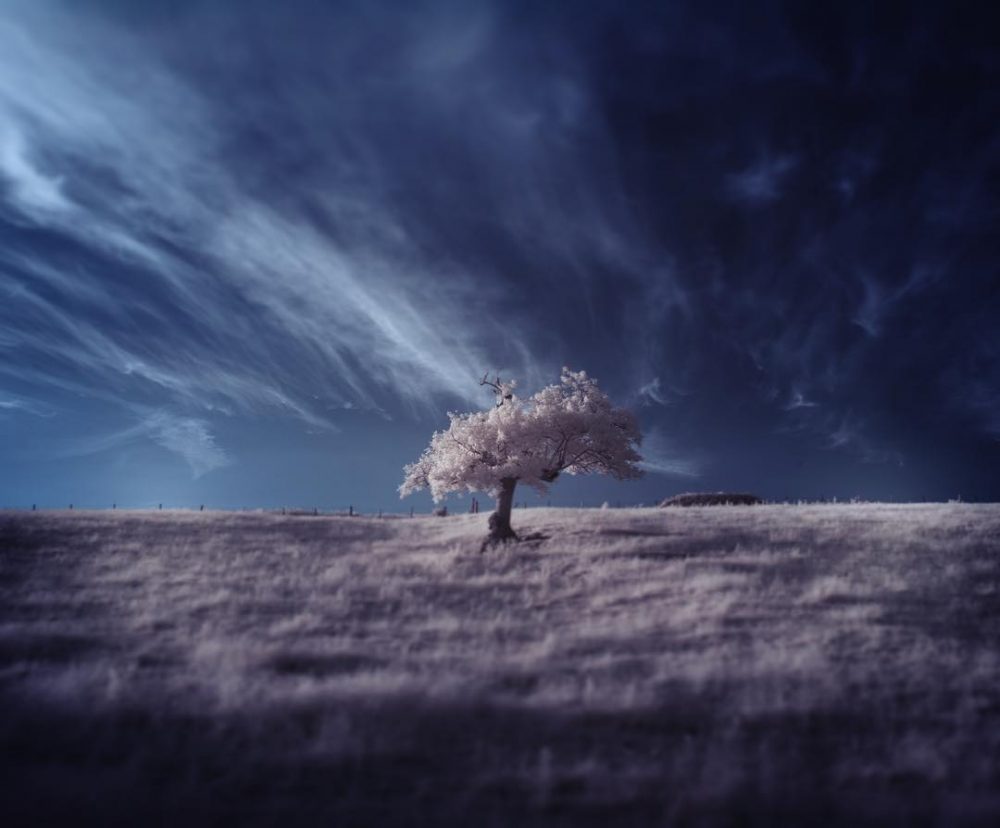 stunning-nature-landscapes-by-andy-lee-99