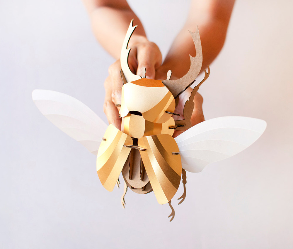 unique-diy-paper-beetle-sculpture-kits-by-assembli