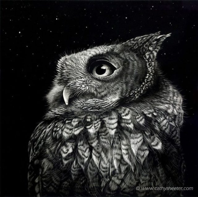 Hyper-realistic Scratchboard Illustrations By Cathy Sheeter 