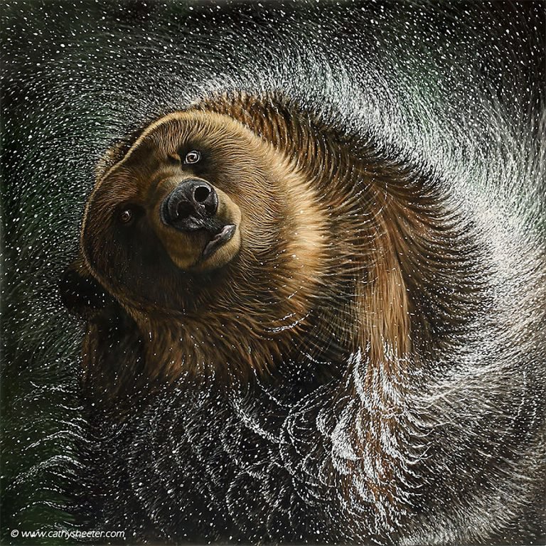 HyperRealistic Scratchboard Illustrations by Cathy Sheeter 99inspiration