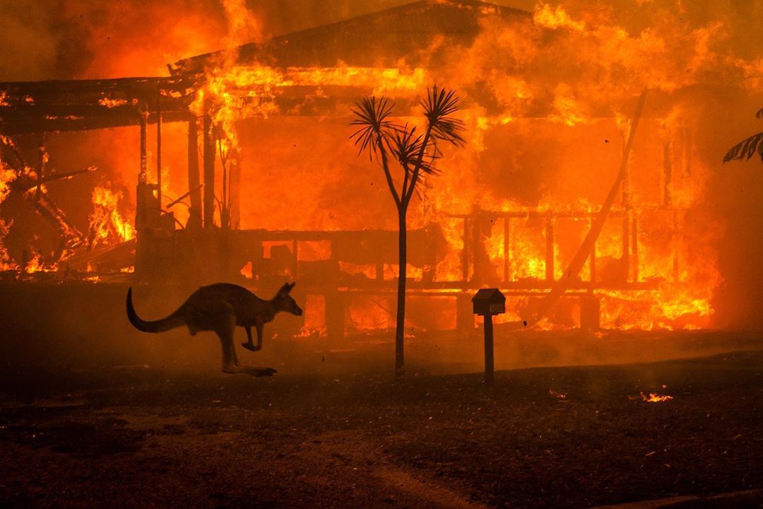 Terrifying Pictures Of Australia’s Bushfires